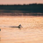 Oto trzy chwytliwe tytuły, zoptymalizowane pod SEO: