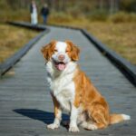 EFNI 2025 - Największa Nowość w Branży Nieruchomości Komercyjnych