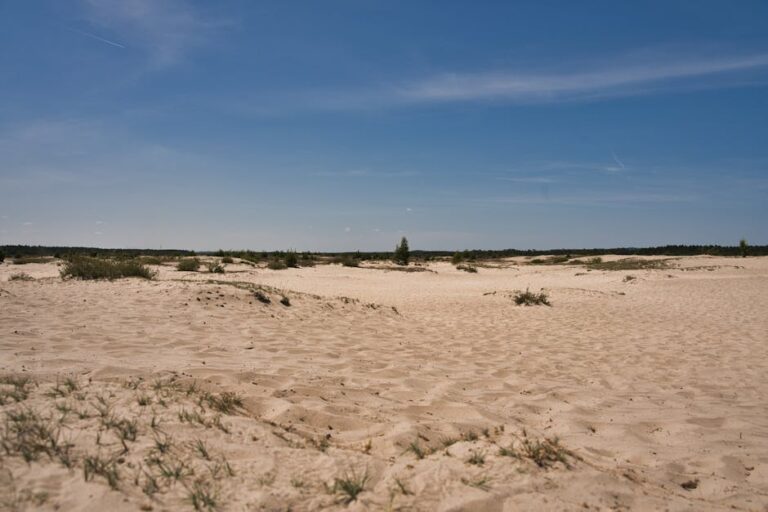 Obowiązki zarządcy nieruchomości – jak uniknąć błędów i kar