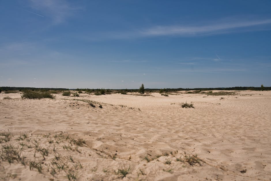 Obowiązki zarządcy nieruchomości – jak uniknąć błędów i kar