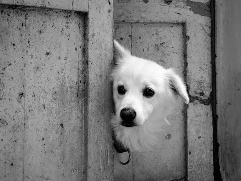 Zmiany prawne w branży Facility Management w 2023 roku – co należy wiedzieć